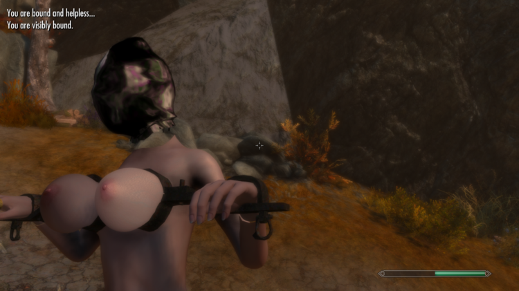 ScreenShot21.thumb.png.fa338cccc3fdad8a2fd19608949f4338.png