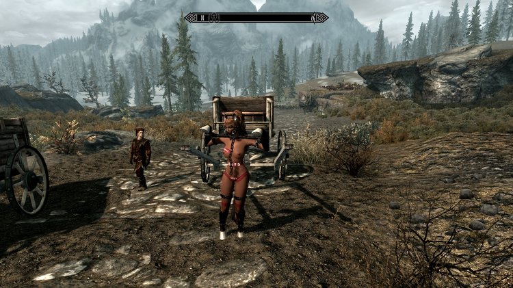 ScreenShot33j.jpg