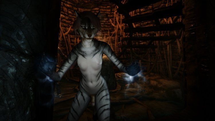 SkyrimSE_2018_05_06_09_06_07_362.jpg