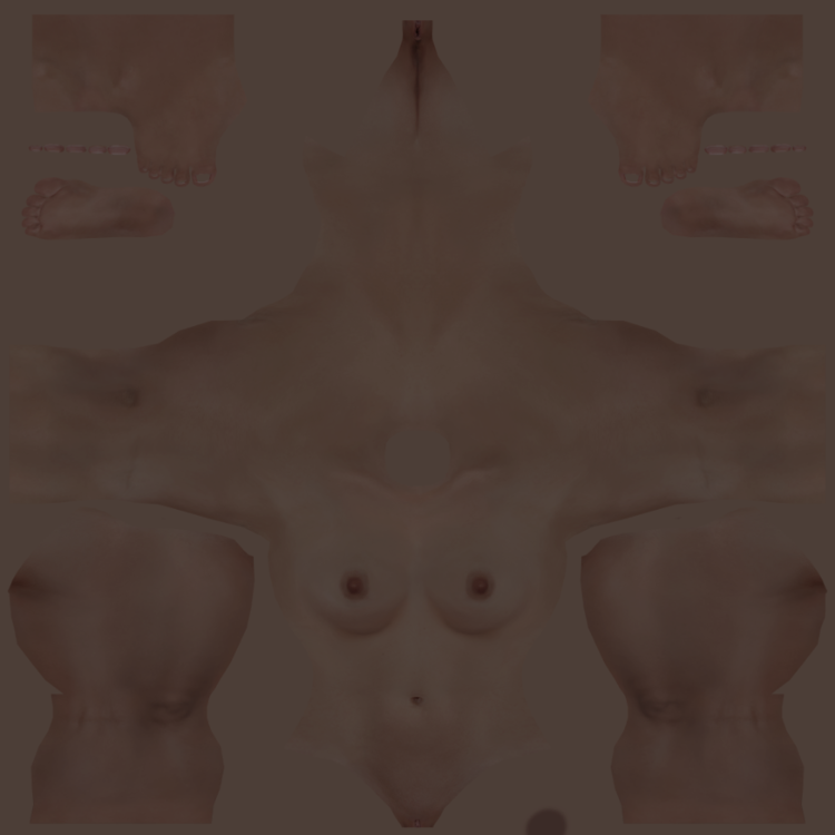 body.PNG