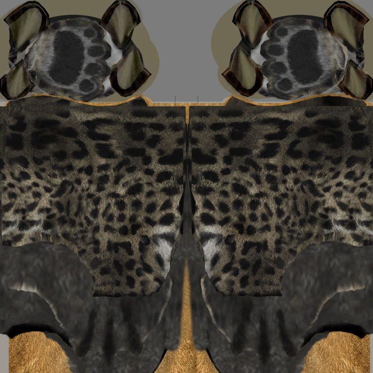 femalefeetcolor.thumb.png.80dc6f9469a9f826b3b2c6441483f0c9.png