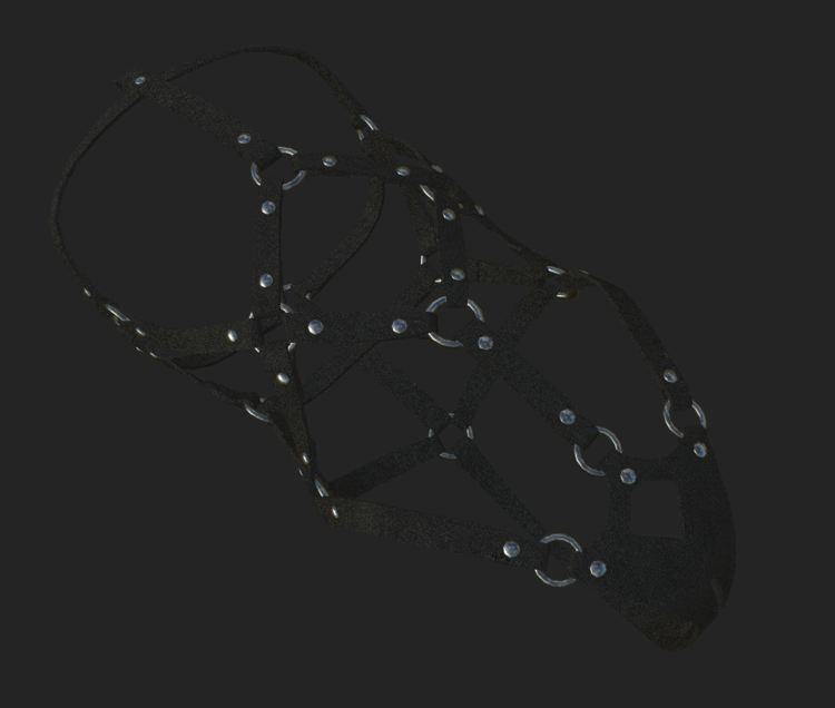 harness_retexture_4k.thumb.PNG.d484bdd12f9a8726c4a318e9904db1df.PNG