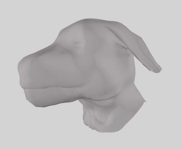 horse_bull_head.JPG