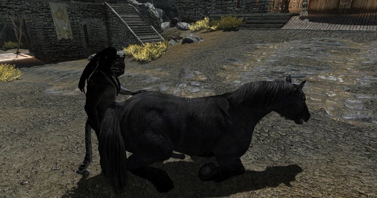 skyrim_horse.jpg