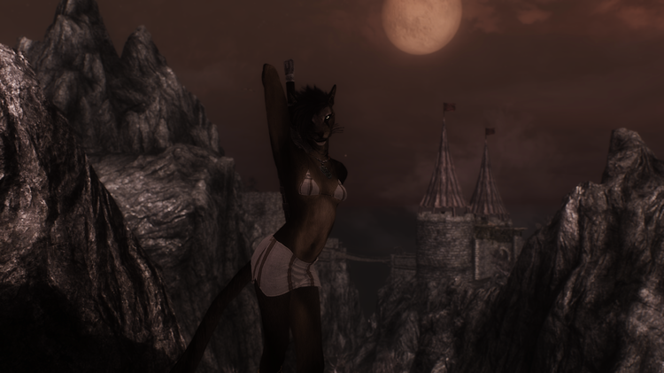 Khajiit Warrior.png