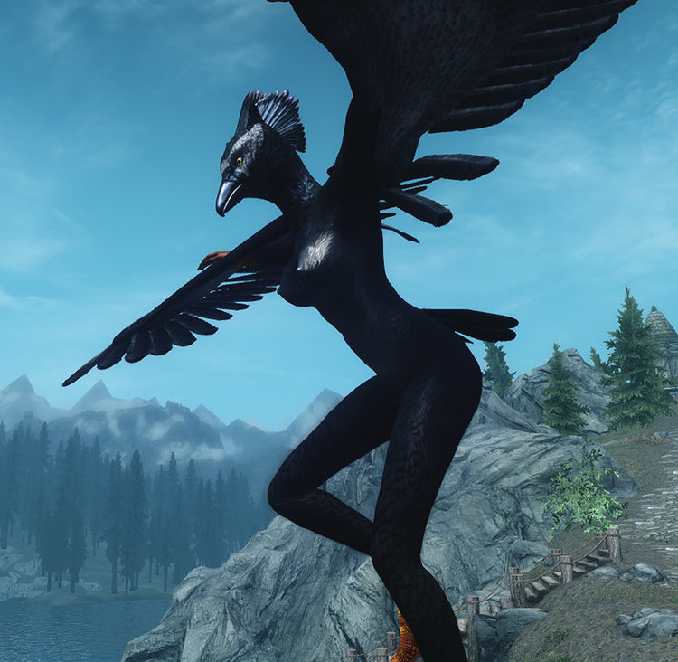 Female Flying.jpg