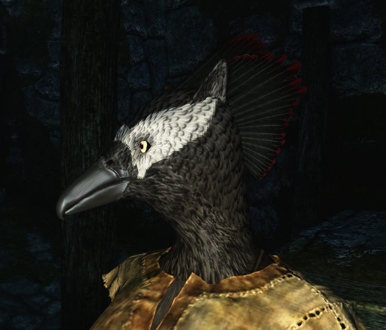 Female Ulri.jpg