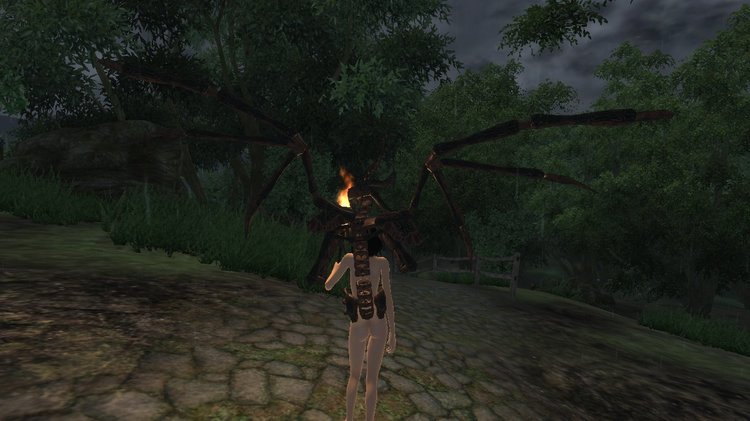 1388087639_Oblivion2018062618_50_12.thumb.jpg.868323f68131bc7ac2fe224e29df4601.jpg