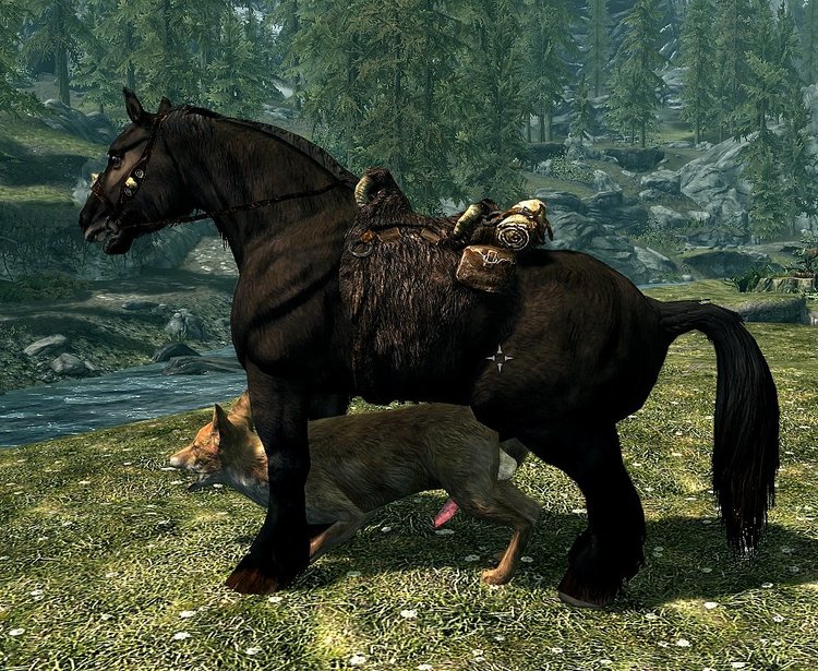 1464641743.gabyroger78_horse_x_fox.jpg