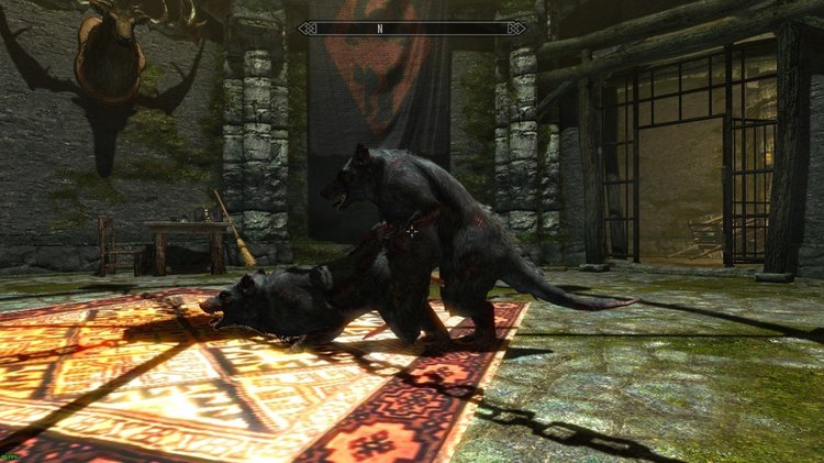 1467668186.gabyroger78_rat_x_rat.jpg