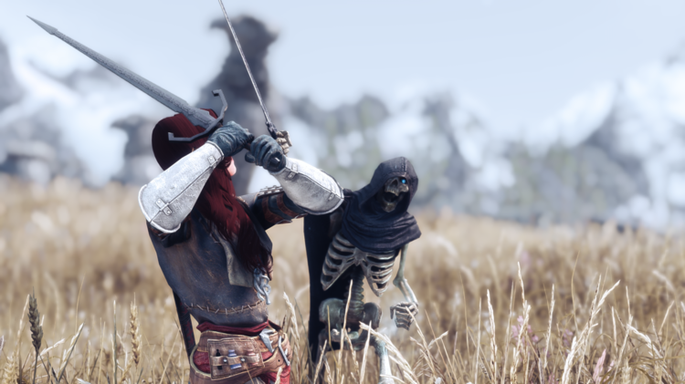 Skyrim Special Edition 21_05_2018 12_35_23 AM.png