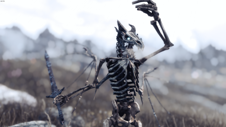 Skyrim Special Edition 21_05_2018 12_15_38 AM.png
