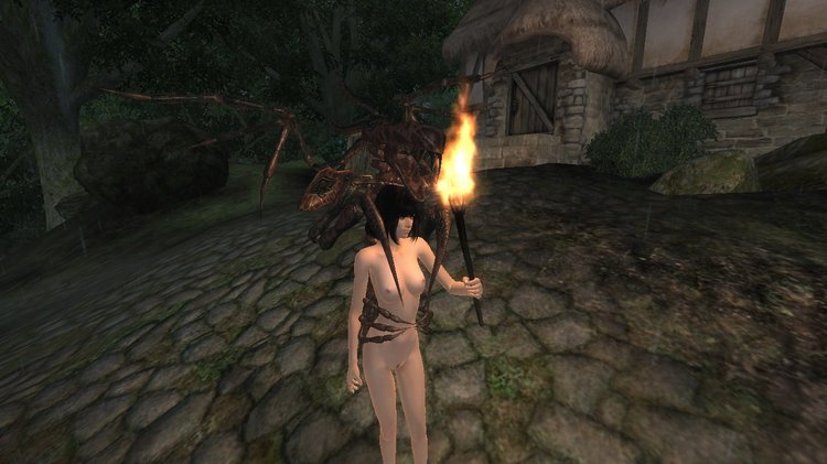 2146449854_Oblivion2018062618_50_05.thumb.jpg.1184e844449718105389b1723435a68a.jpg