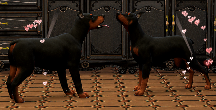26_06.18_19-11-57DobermannPaint.thumb.png.49ce6ffed9e957f4eb7f0e58af46249f.png