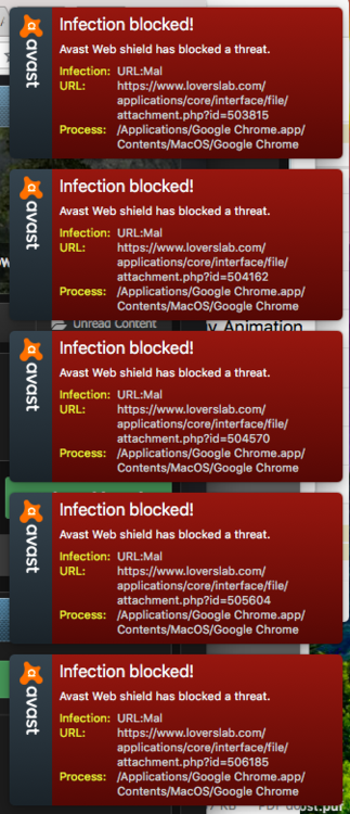Screen Shot 2018-06-10 at 12.54.38 AM.png