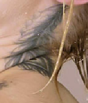 5.PNG.85f77d9a9c37e2a124ce22bd513267b5.PNG