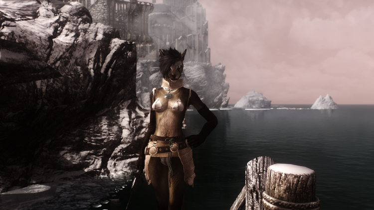 Khajiit Warrior3.png
