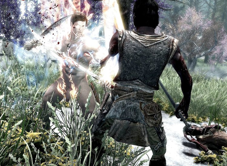 21May2018TESVSkyrimDragonbornArisFenrer00 (27).jpg