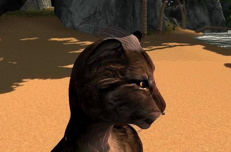enb 2018_06_20 09_13_52_81.jpg