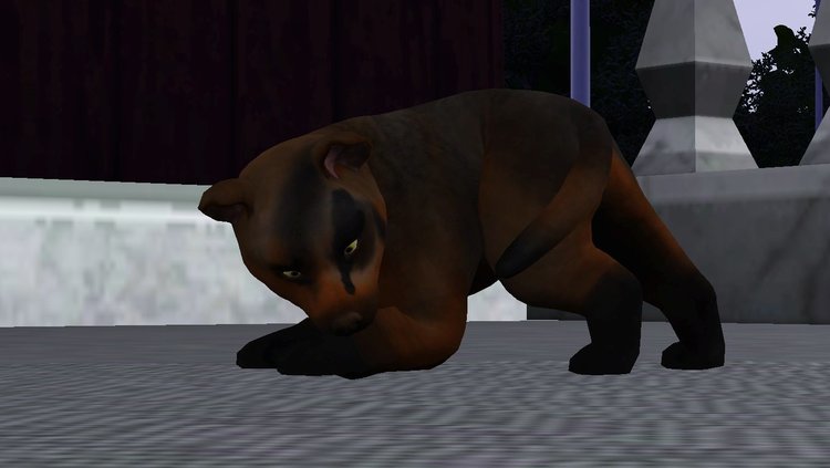 Screenshot-66.thumb.jpg.6914a877dd3c34c55130605e36dace5b.jpg