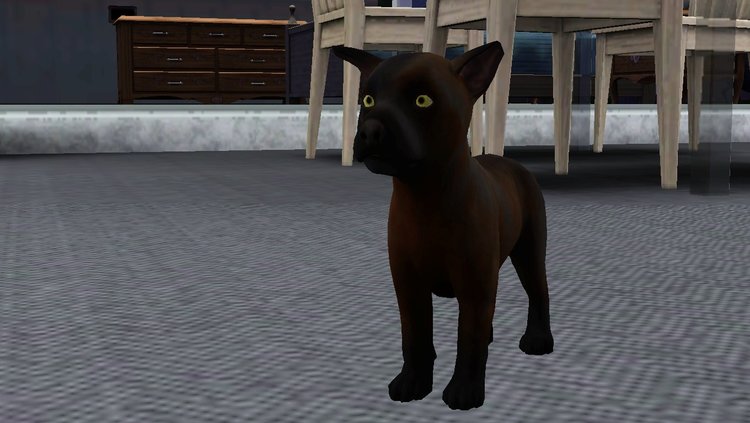Screenshot-67.thumb.jpg.dfaf23331e7c4150efbbb276eba92ce1.jpg
