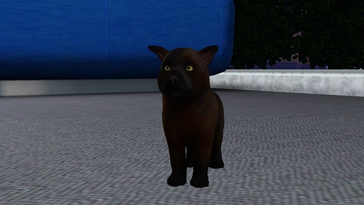 Screenshot-68.thumb.jpg.b6646b0563767d8798e68df62d5a8ad8.jpg