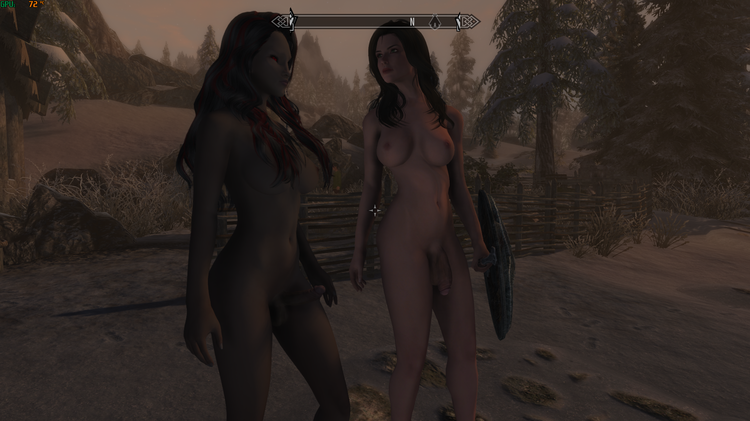 SkyrimSE_2018_06_20_10_34_36_985.png