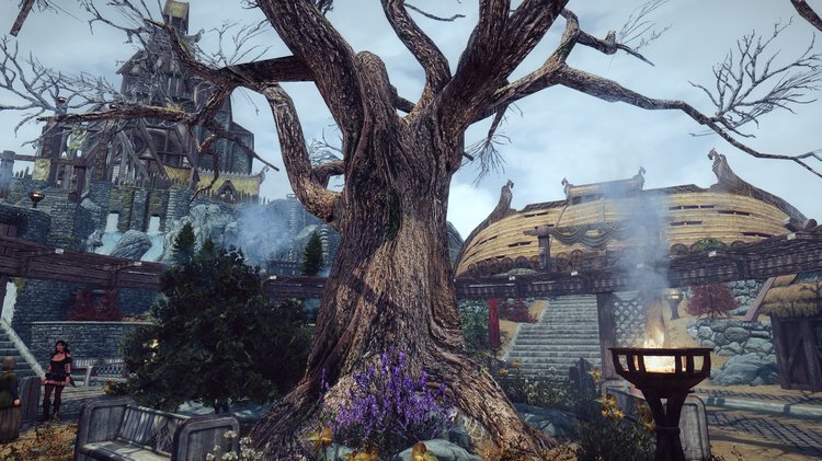 Whiterun_0008.thumb.jpg.951adbabb6129bb59bf80904182f6e4f.jpg