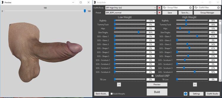 bodyslideoptions1.thumb.JPG.999fe252c32e46617510d1655302dfb7.JPG