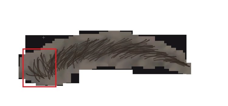 brows.jpg