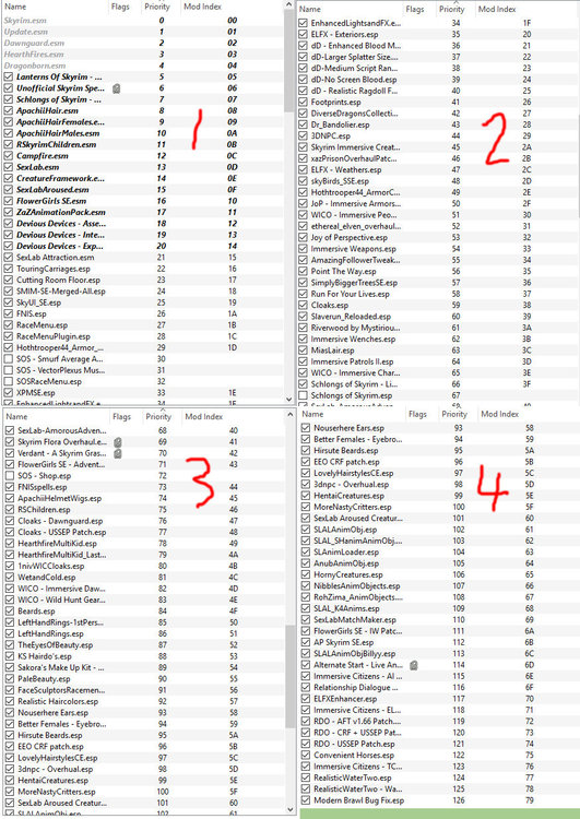 loadorder.thumb.jpg.132a1f6bc9e74b999a81b0278f2a4039.jpg