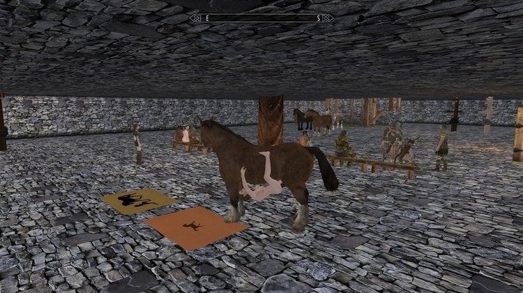 riding.jpg
