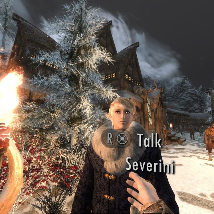 sev1.jpg