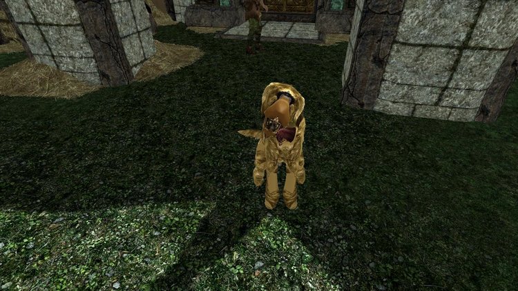 SKYRIM 2018-07-05 12-15-00-63.jpg