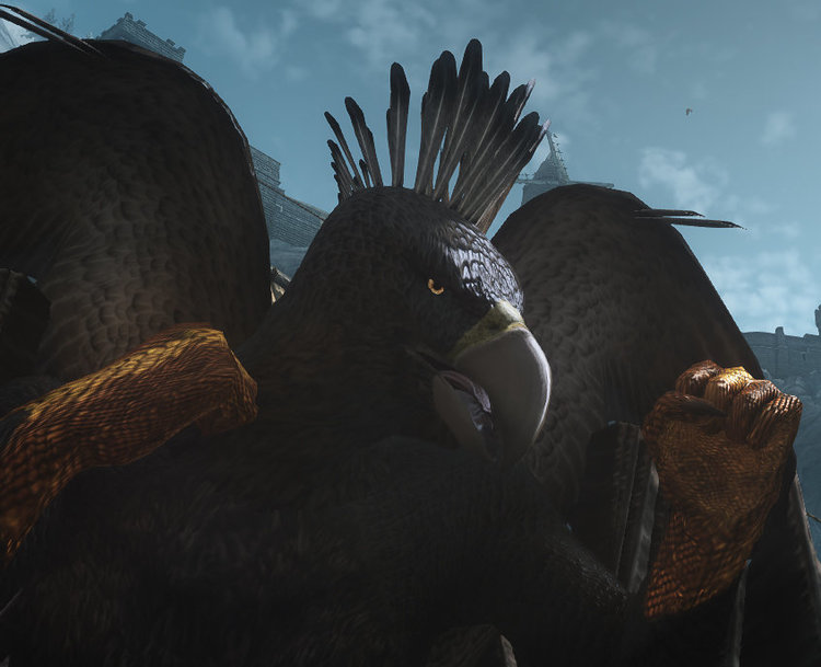 Crested Eagle Battle.jpg