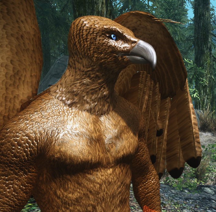 Golden Eagle.jpg