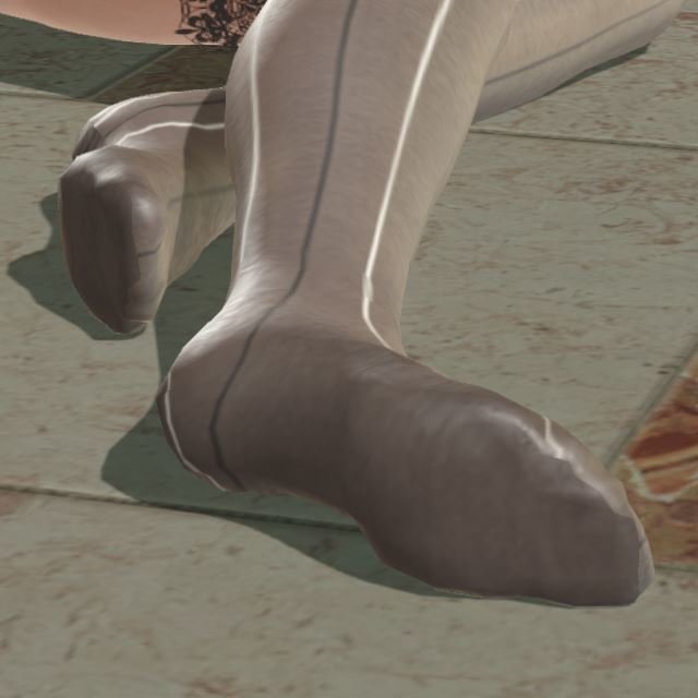 1619791832_NoShoes.jpg.843b692ffac31ddadc7b7e3a055892bb.jpg