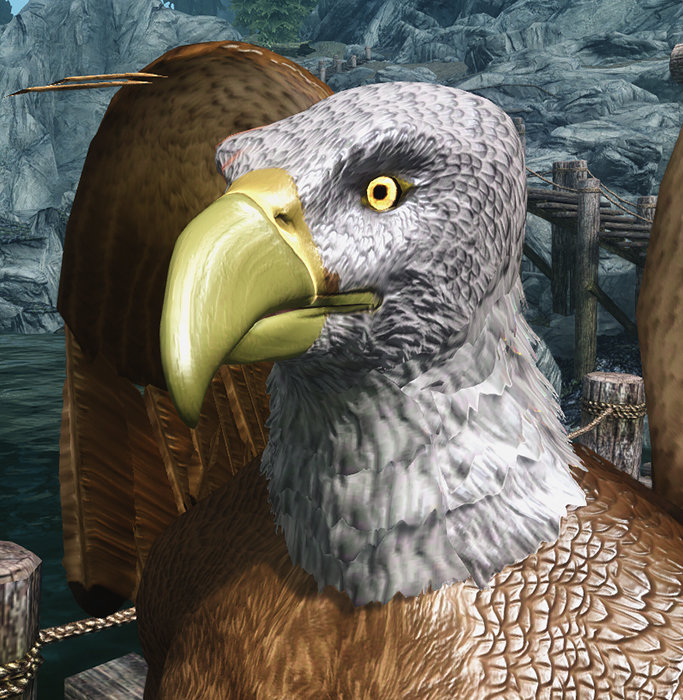 Bald Eagle.jpg