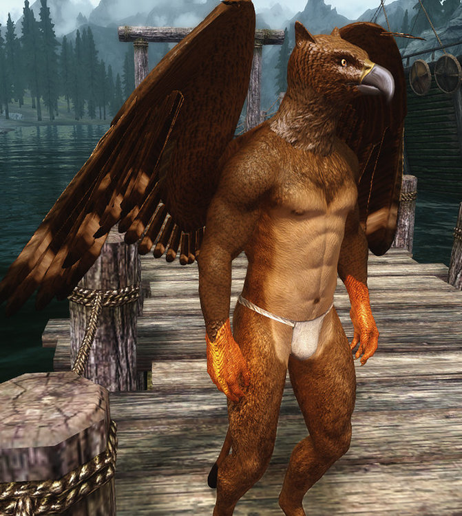 Griffon 3.jpg
