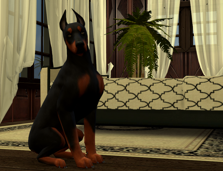 25_06.18_16-09-40DobermannsLotPaint.thumb.png.2ba56bcad9b9ff66df50055bb024f527.png