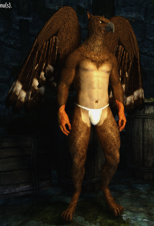 Griffon 2.jpg