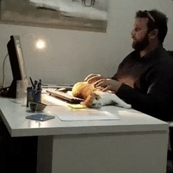 4a1b744c.gif.d49934157e1f86acfd1aa9f7932c1863.gif