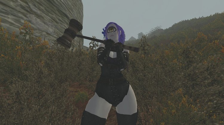 529506098_Oblivion2018071515_32_08.thumb.jpg.20a0d3ab60eb036f9125933abaa80717.jpg