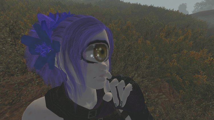 566267907_Oblivion2018071515_31_09.thumb.jpg.8415a56b3e91cf285b5702adada6135d.jpg