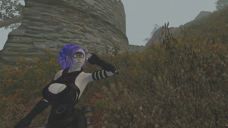 647636777_Oblivion2018071515_34_25.thumb.jpg.049c15a5502b8ef20a9dabc5cae5f49b.jpg