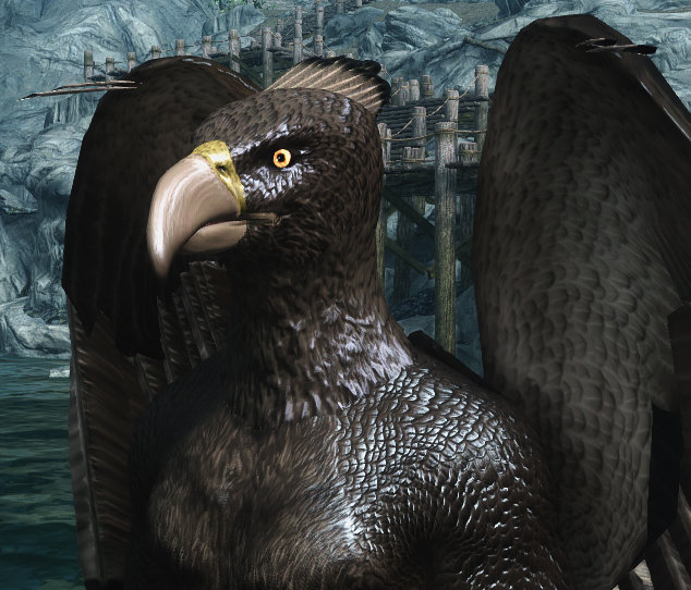 Crested Eagle.jpg