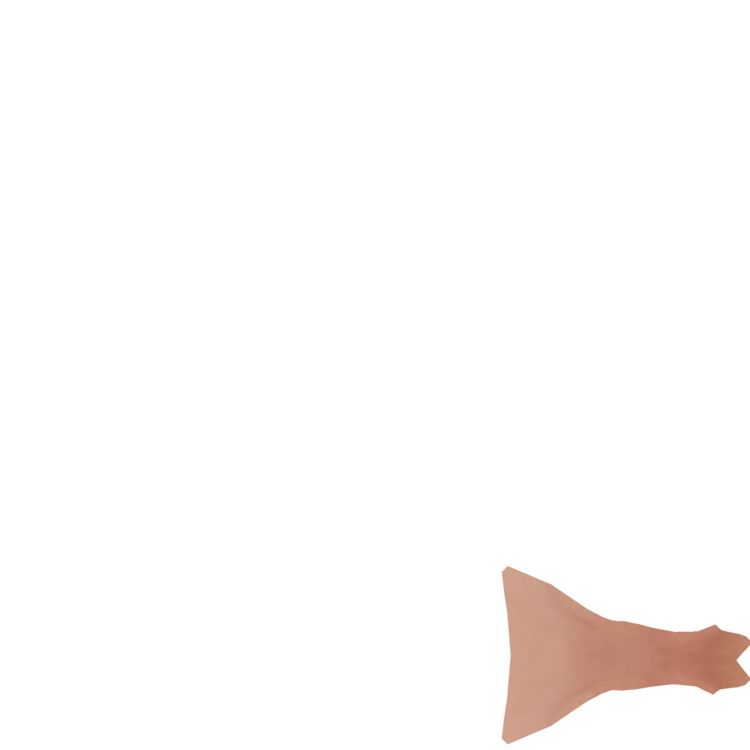 Bace.thumb.png.d7e1358ea036ee6a9ee80289e0ffb85e.png