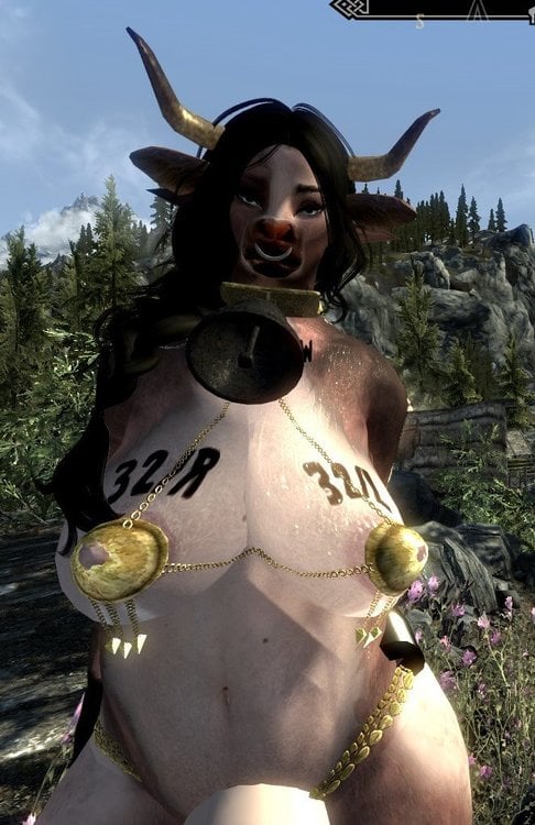 Cow3.jpg