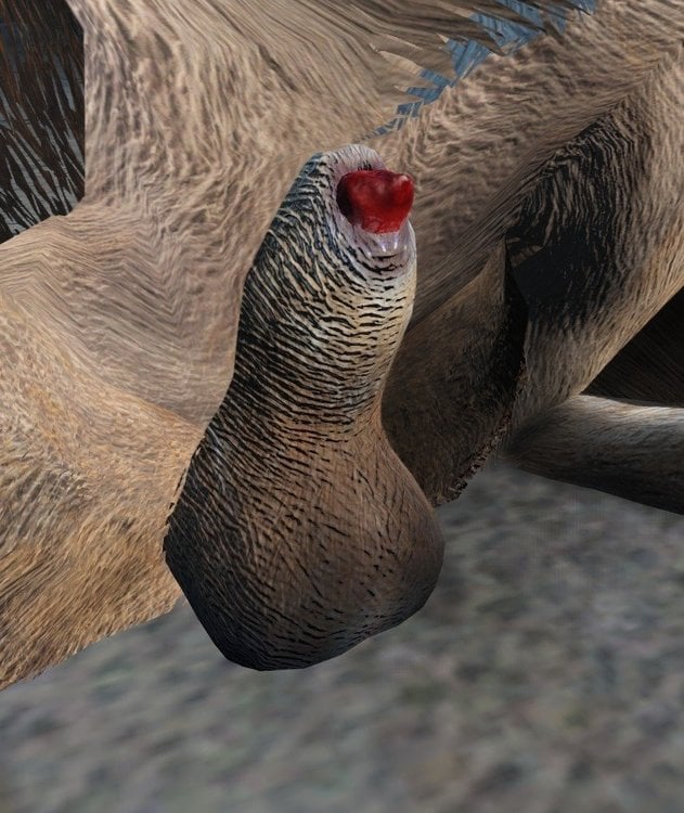 DogmeatLipstick.thumb.jpg.4747dd6237ea4c4b85da2da5eae22faa.jpg