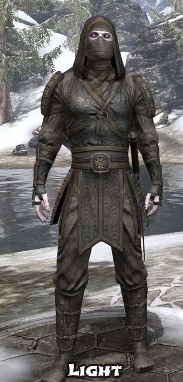 Samurai-Armor-screenshots.thumb.jpg.8ced400643c56ad87acc659f00951535.jpg